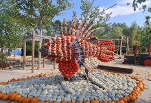 Asparagus and Adventure Farm Klaistow景点图片