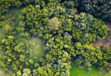 Meridan Plains Conservation Park景点图片