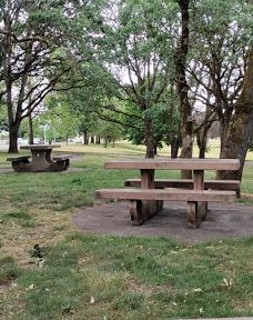 Waverly Park Parking-奥尔巴尼