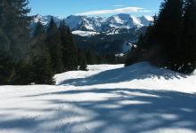 Alpenblick Platz景点图片