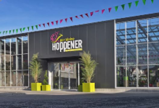 the little Höppener购物图片