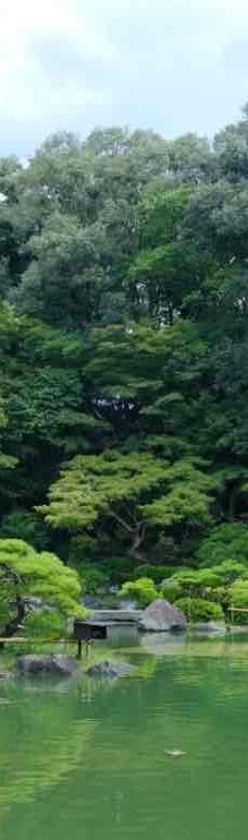 大濠公园-福冈-不务正业的露小西