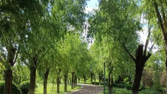 如意湖公園
