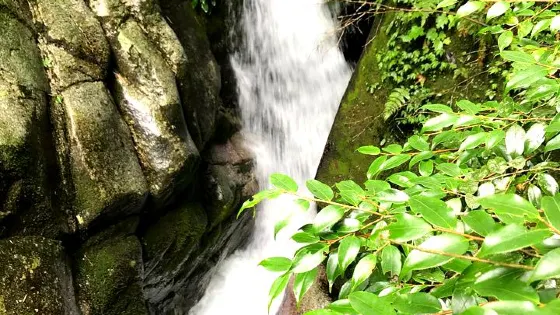飛水寨南國天山大草原