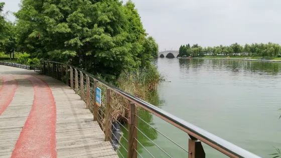 香蒲灣