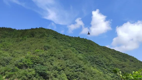 白馬嶺景區