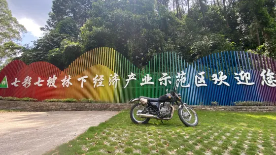 七彩七坡林下經濟產業核心示範區