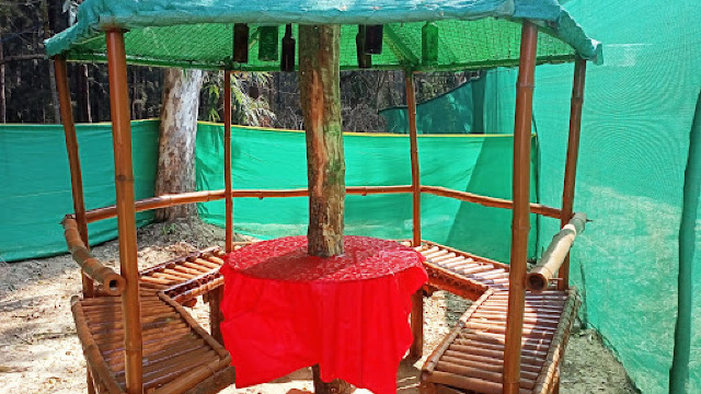 Seashore Beach Camp, Dublagadi Sea Beach Resort