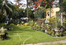 Vivero vive caucel景点图片