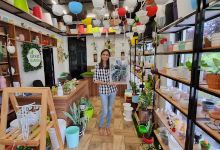 LECHUZ GARDEN购物图片