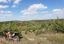 Fancy Creek State Park景点图片