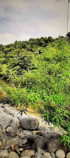 Brgy Nambalan Mayantoc Tarlac-马延托克