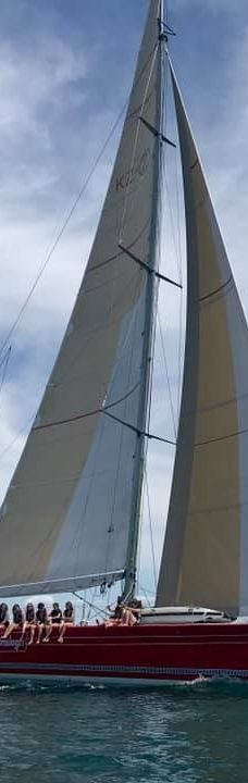 豪拉基湾-奥克兰