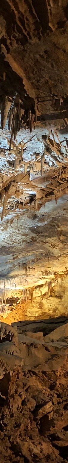 Grotte des Canalettes-科尔内拉德孔夫朗