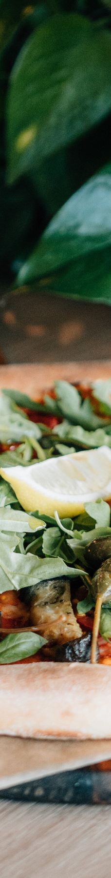 Olivia Star-格但斯克