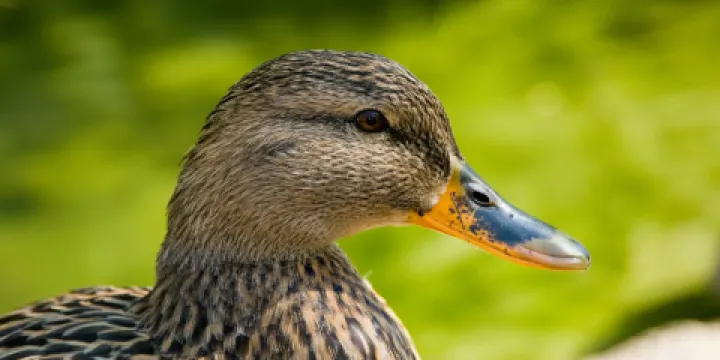 Lake Erie Nature & Science Center