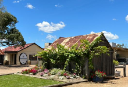 Tyrrell's Wines景点图片