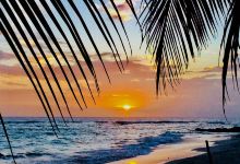 Crystal Waters Bar美食图片