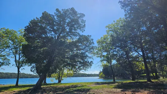 Percy Priest Lake