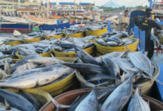 General Santos City Fish Port Complex景点图片