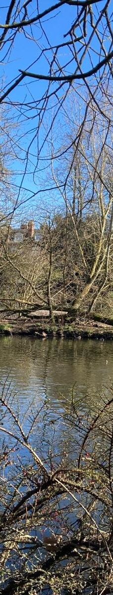 Ropner Park-蒂斯河畔斯托克顿