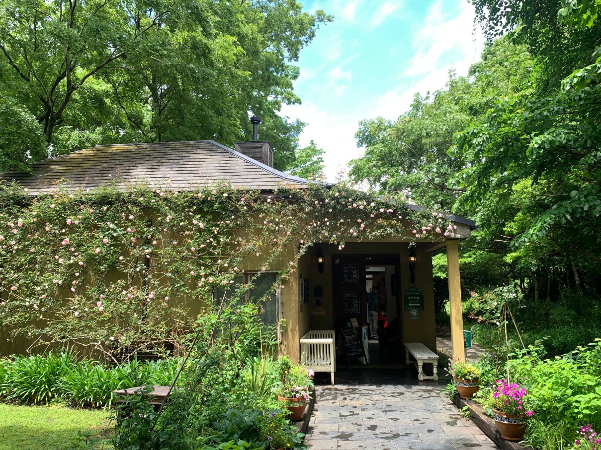 The Dreaming Place Rose Garden