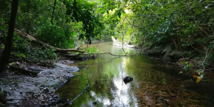 Khlong Chak Waterfall