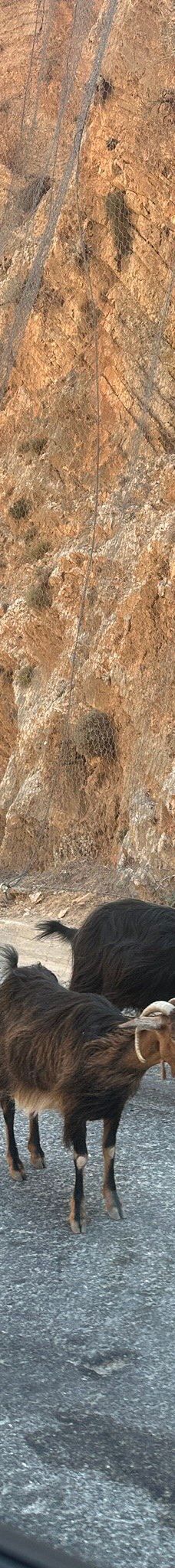 Ilingas Beach-霍拉斯法基翁