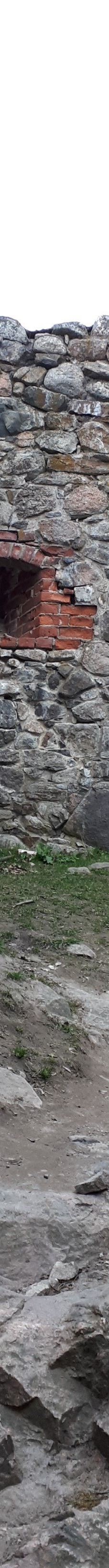 Kuusisto Bishop's Castle-卡里纳