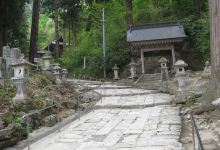 Dog's Shrine景点图片