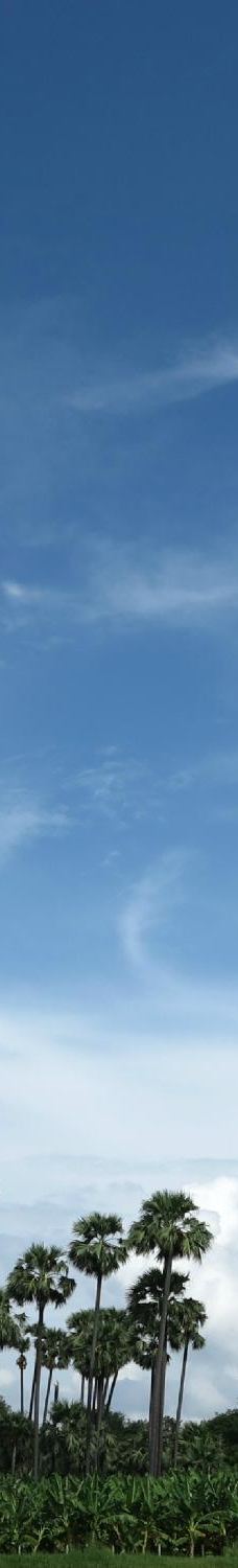 Yadana Hsemee Pagoda-皎施