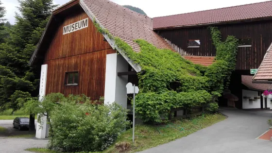 Mushroom Museum