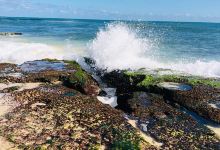 Yanchep Beach Road景点图片