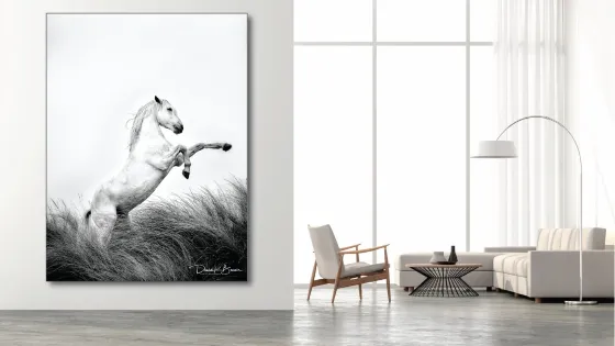 David Beavis Fine Art