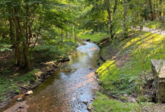 Park Miejski景点图片