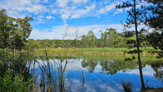 Calembeen Park