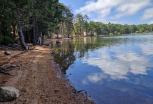 Foret de l'Ospedale景点图片