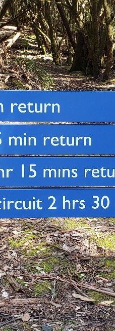 Tall Trees Walk-Mount Field