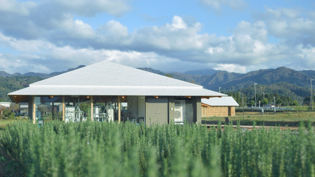 Healthian-wood(ヘルジアンウッド)