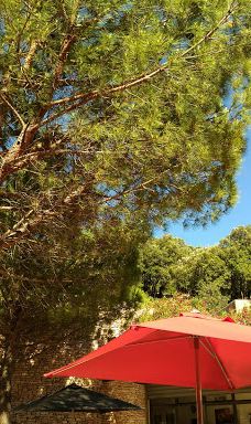 Grotte Saint-Marcel-比东