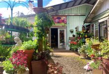 Rusty Gate Nursery & Building Supply购物图片