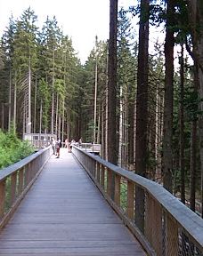 Vlčí výběh Srní (podívání zvenku)-斯尼