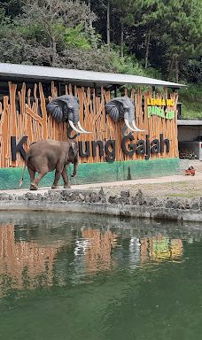 Lembang Park & Zoo-伦邦