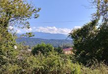 Sochi Vesyoloye景点图片
