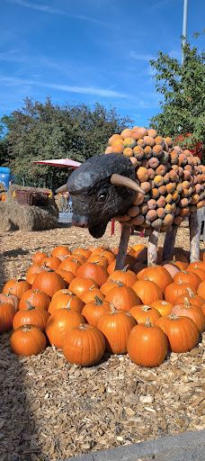 Oskarshausen-Sachsische Schweiz-Osterzgebirge