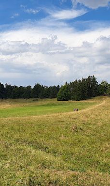 Hangender Stein-佐勒纳尔布县