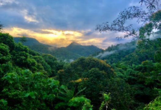 Esquipulas Bird Paradise景点图片