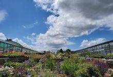 Barnes Nurseries购物图片