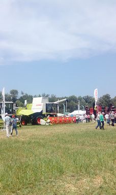 Gosudarstvennyy Prirodnyy Zakaznik Kamennaya Step'-塔洛瓦亚区