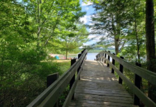 Swan Lake State Park景点图片